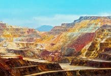 The Royalty Primer: Everything You Need to Know to Successfully Build Wealth Through Royalties