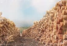 Markets & Metals Navigator: Lumber Goes Parabolic