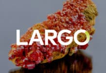LPV: The Pure Play Vanadium Investment