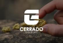 Cerrado Gold Announces Lender for Brazilian Project