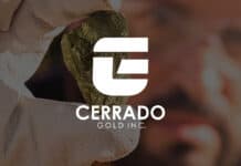 Cerrado Gold Initiates Leaching at Its Las Calandrias Project
