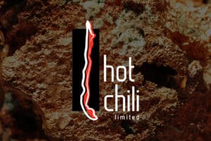 Costa Fuego copper project analysis